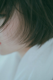 花落时节又逢君在线电视剧免费观看